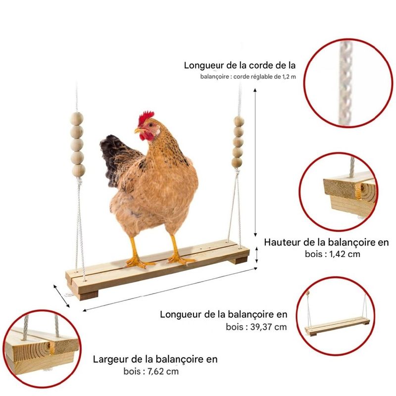 ZooVenture Balançoire pour poules et jouet pour oiseaux