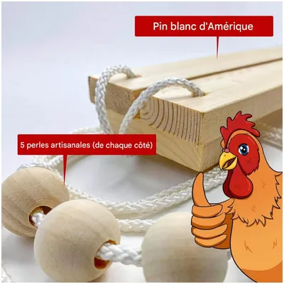 ZooVenture Balançoire pour poules et jouet pour oiseaux