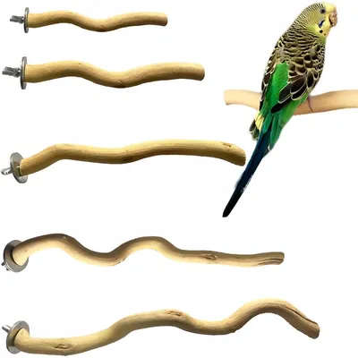 ZooVenture Perchoirs en bois naturels pour oiseaux 5 PCS ZooVenture Perchoirs en bois naturels pour oiseaux 5 PCS