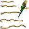 ZooVenture Perchoirs en bois naturels pour oiseaux 5 PCS 5 Pièces