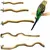 ZooVenture Perchoirs en bois naturels pour oiseaux 5 PCS ZooVenture Perchoirs en bois naturels pour oiseaux 5 PCS