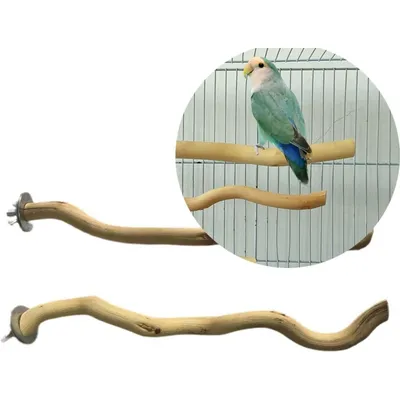 ZooVenture Perchoirs en bois naturels pour oiseaux 5 PCS