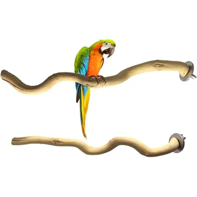 ZooVenture Perchoirs en bois naturels pour oiseaux 5 PCS