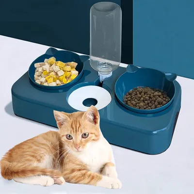 FurryFusion Distributeur automatique de nourriture et d'eau pour chat