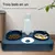 FurryFusion Distributeur automatique de nourriture et d'eau pour chat