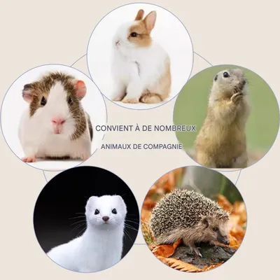 ZooVenture Sacs jetables pour petits animaux