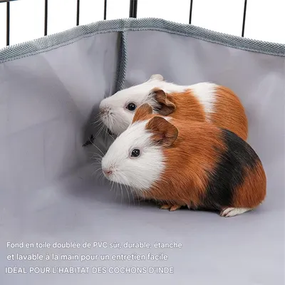 ZooVenture Tapis de sol pour cage de cochons d'Inde