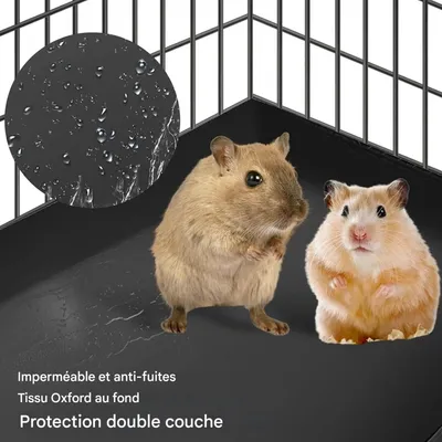 ZooVenture Tapis de sol pour cage de cochons d'Inde