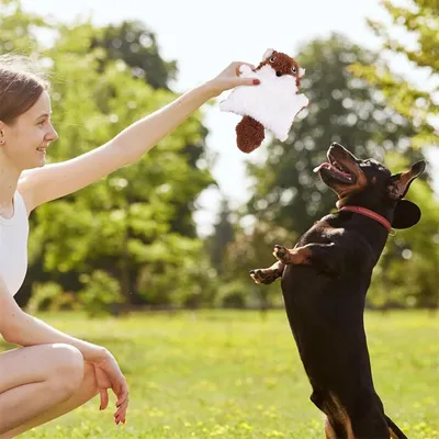 IntiMeg Jouet sonore en forme d'écureuil volant pour chat