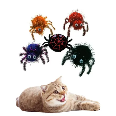 IntiMeg Jouet araignée d'Halloween pour chat