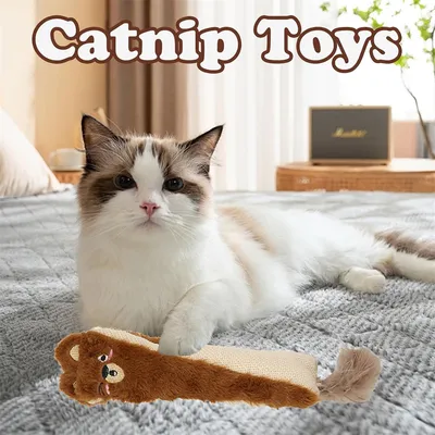 IntiMeg Jouet en peluche pour chaton