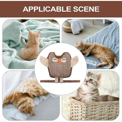 Jouets à Cataire pour Chats d'Intérieur