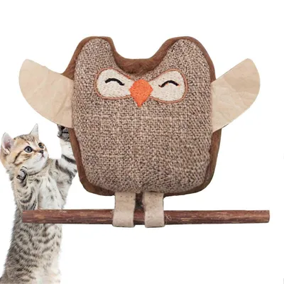 Jouets à Cataire pour Chats d'Intérieur