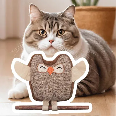 Jouets à Cataire pour Chats d'Intérieur