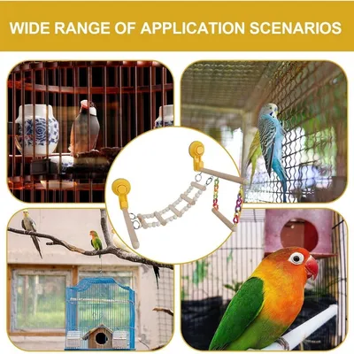 ZooVenture Percha de madera para pájaros y plataforma para trepar