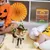 IntiMeg Halloween-Kostüm für Katzen IntiMeg Halloween-Kostüm für Katzen