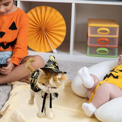 IntiMeg Halloween-Kostüm für Katzen IntiMeg Halloween-Kostüm für Katzen