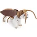 IntiMeg Costume Cafard pour chats et chiens