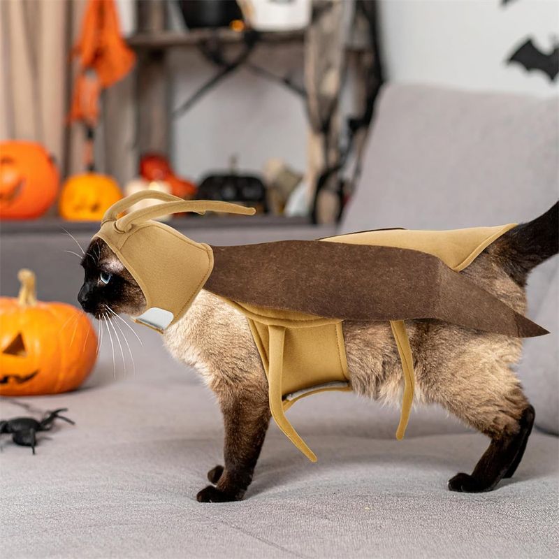 IntiMeg Costume Cafard pour chats et chiens