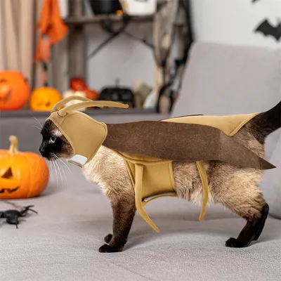 IntiMeg Costume Cafard pour chats et chiens IntiMeg Costume Cafard pour chats et chiens