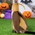 IntiMeg Costume Cafard pour chats et chiens IntiMeg Costume Cafard pour chats et chiens