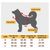 ZooVenture Costume de vampire pour chiens et chats