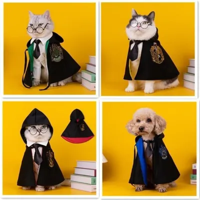 ZooVenture Costume Harry Potter pour chat ZooVenture Costume Harry Potter pour chat