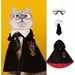 ZooVenture Costume Harry Potter pour chat