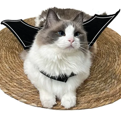 IntiMeg Fledermausflügel für Katzen IntiMeg Fledermausflügel für Katzen