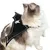 IntiMeg Fledermausflügel für Katzen IntiMeg Fledermausflügel für Katzen