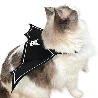 IntiMeg Fledermausflügel für Katzen IntiMeg Fledermausflügel für Katzen