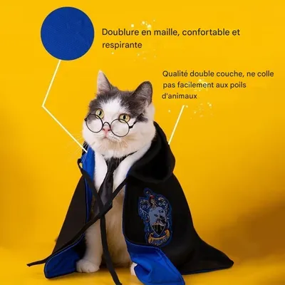 ZooVenture Costume Harry Potter pour chat ZooVenture Costume Harry Potter pour chat