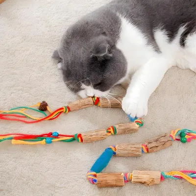 Jouets à l'herbe à chat, bâtonnets à mâcher