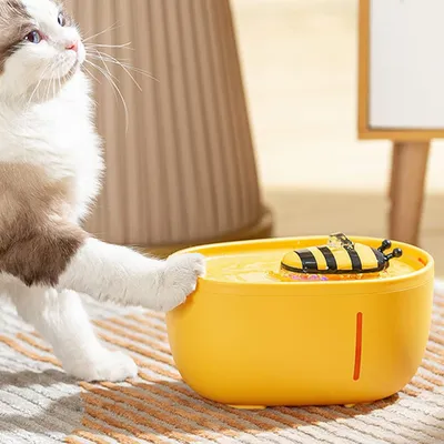 KPYTE Fontaine à eau automatique pour chat