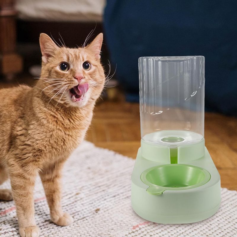 KPYTE Distributeur d'eau automatique pour chats et chiens
