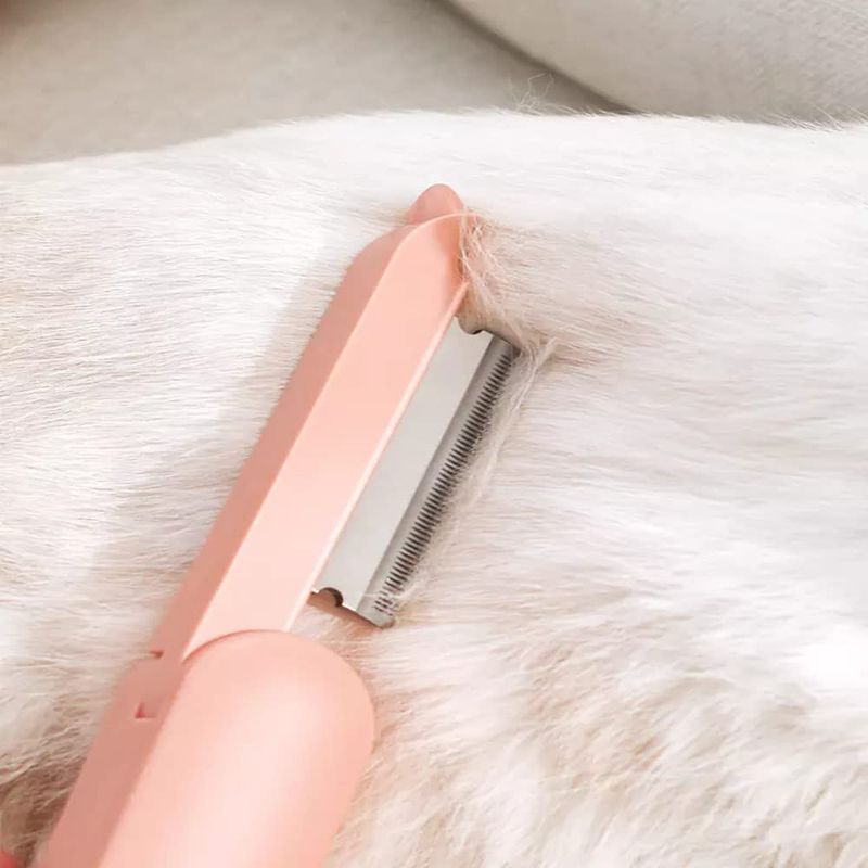 Brosse de toilettage pour animaux à double face