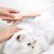 Brosse de toilettage pour animaux à double face