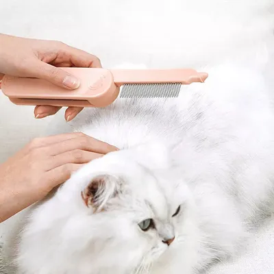 Brosse de toilettage pour animaux à double face