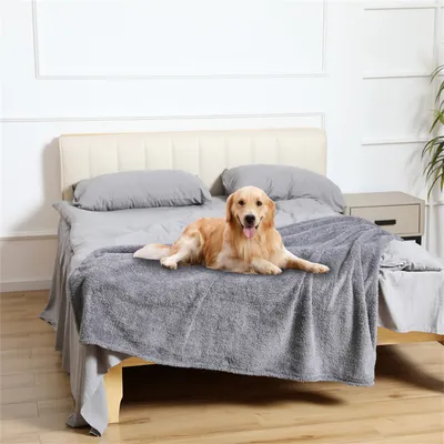 IntiMeg Couverture imperméable pour animal