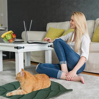 IntiMeg Bettmatte in Blattform für Hunde und Katzen