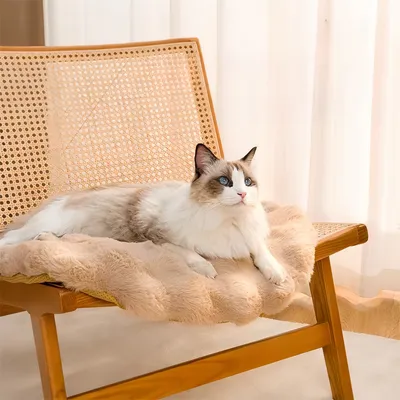 IntiMeg Nido para gatos - cojín redondo de 50 cm