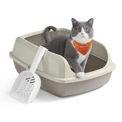 Feandrea Bac à Litière pour Chat Parois Hautes XL avec Pelle Feandrea Bac à Litière pour Chat Parois Hautes XL avec Pelle