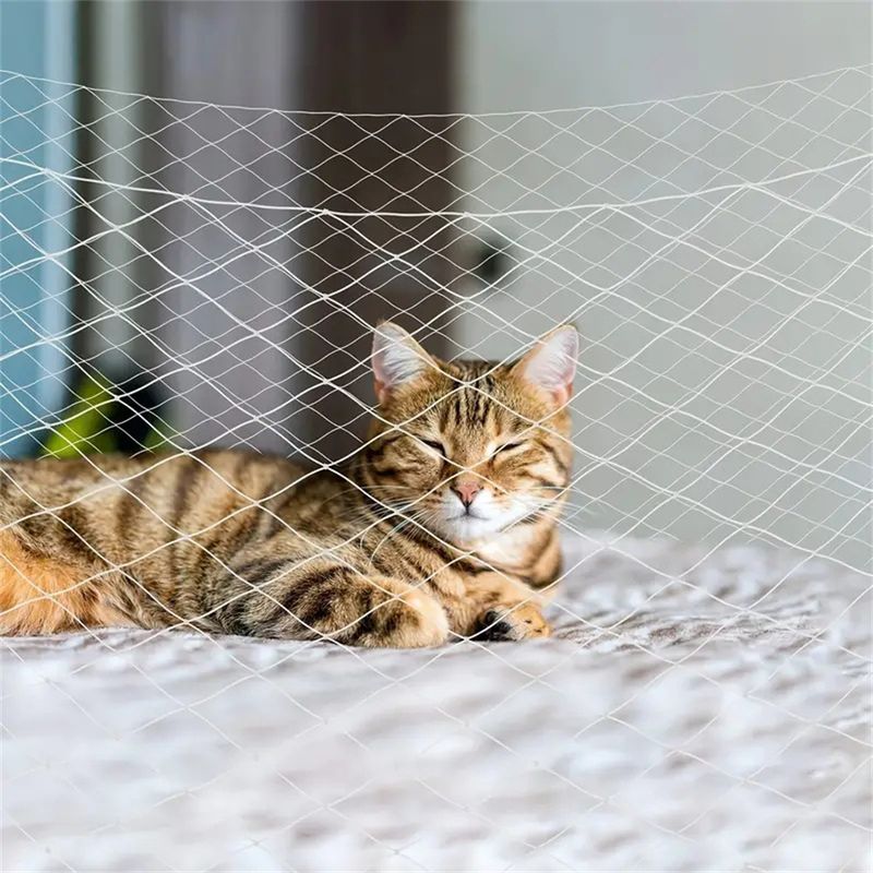 IntiMeg Filet de protection pour chat