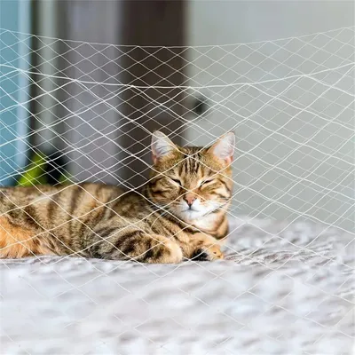 IntiMeg Filet de protection pour chat