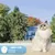 IntiMeg Filet de protection pour chat
