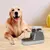 KPYTE Distributeur automatique de nourriture pour chats et chiens