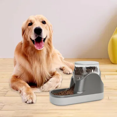 KPYTE Distributeur automatique de nourriture pour chats et chiens