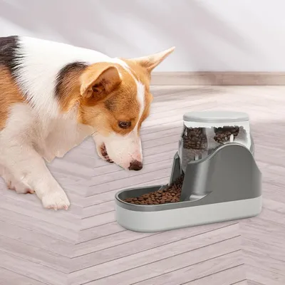 KPYTE Distributeur automatique de nourriture pour chats et chiens