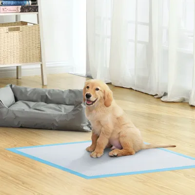 Feandrea Tapis Éducateurs , Anti-fuites et Séchage Rapide