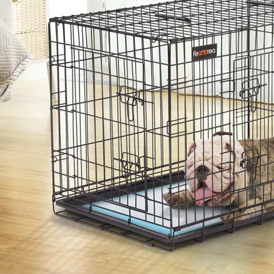 Feandrea Tapis Éducateurs , Anti-fuites et Séchage Rapide